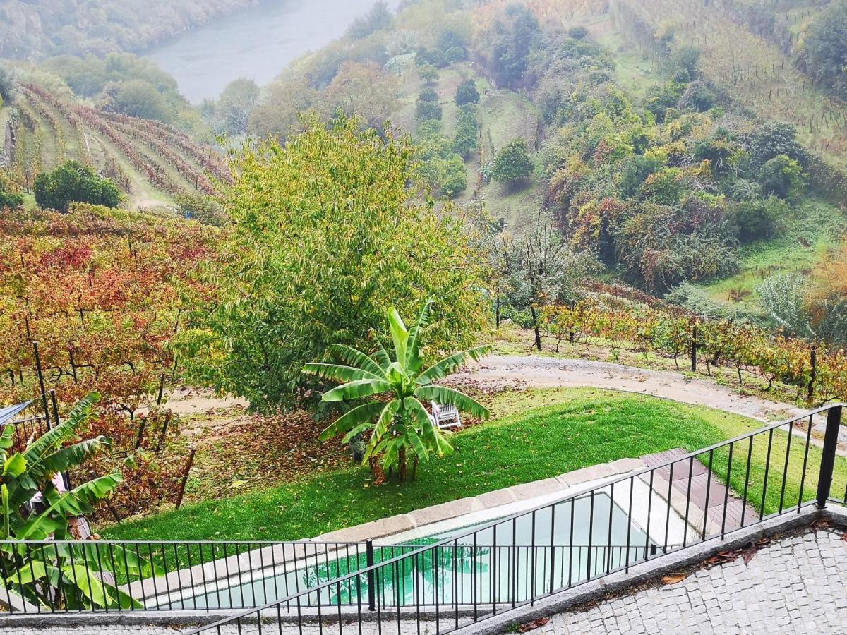 Quinta Barqueiros D'Ouro - Casa Da Musica Villa Mesão Frio Dış mekan fotoğraf