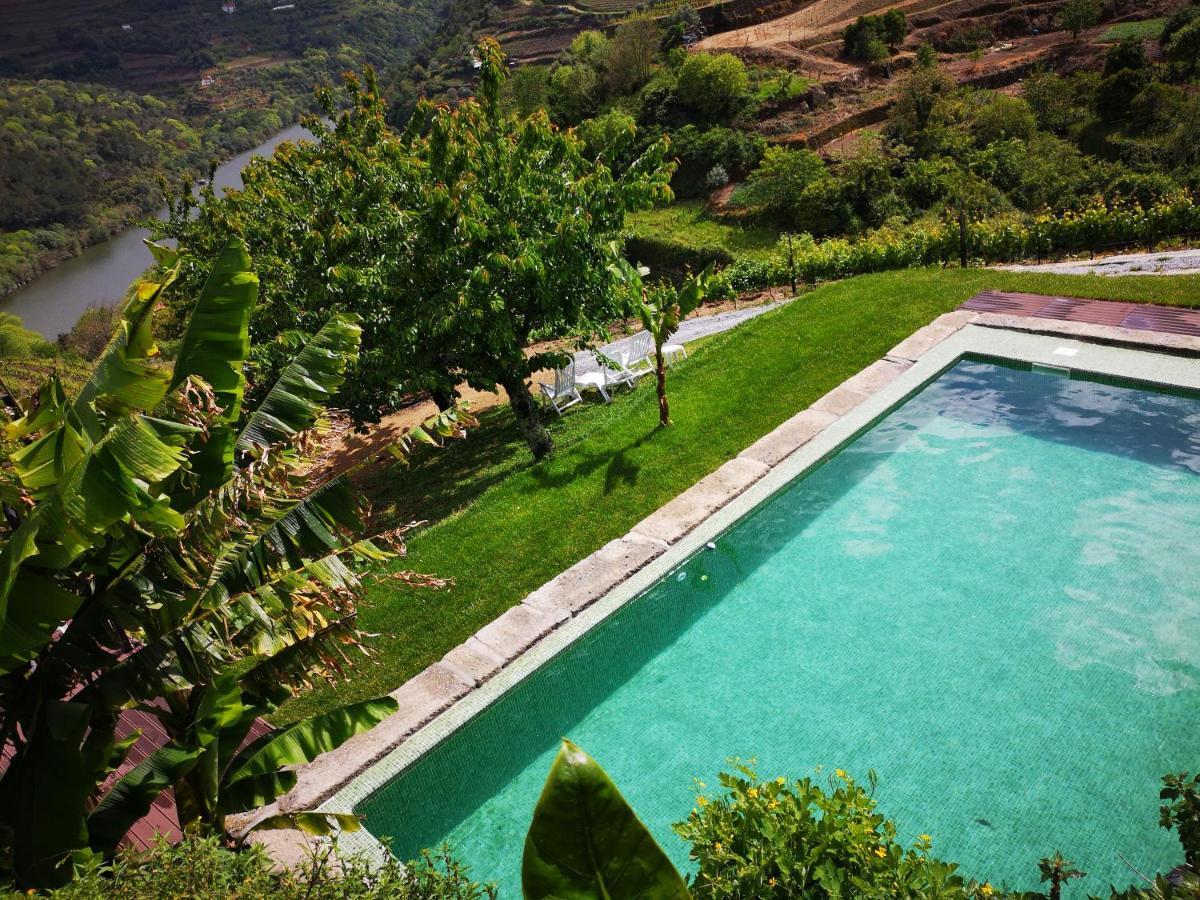 Quinta Barqueiros D'Ouro - Casa Da Musica Villa Mesão Frio Dış mekan fotoğraf
