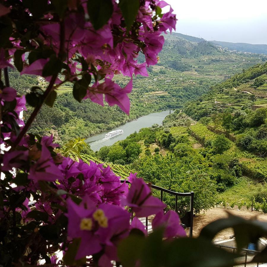 Quinta Barqueiros D'Ouro - Casa Da Musica Villa Mesão Frio Dış mekan fotoğraf