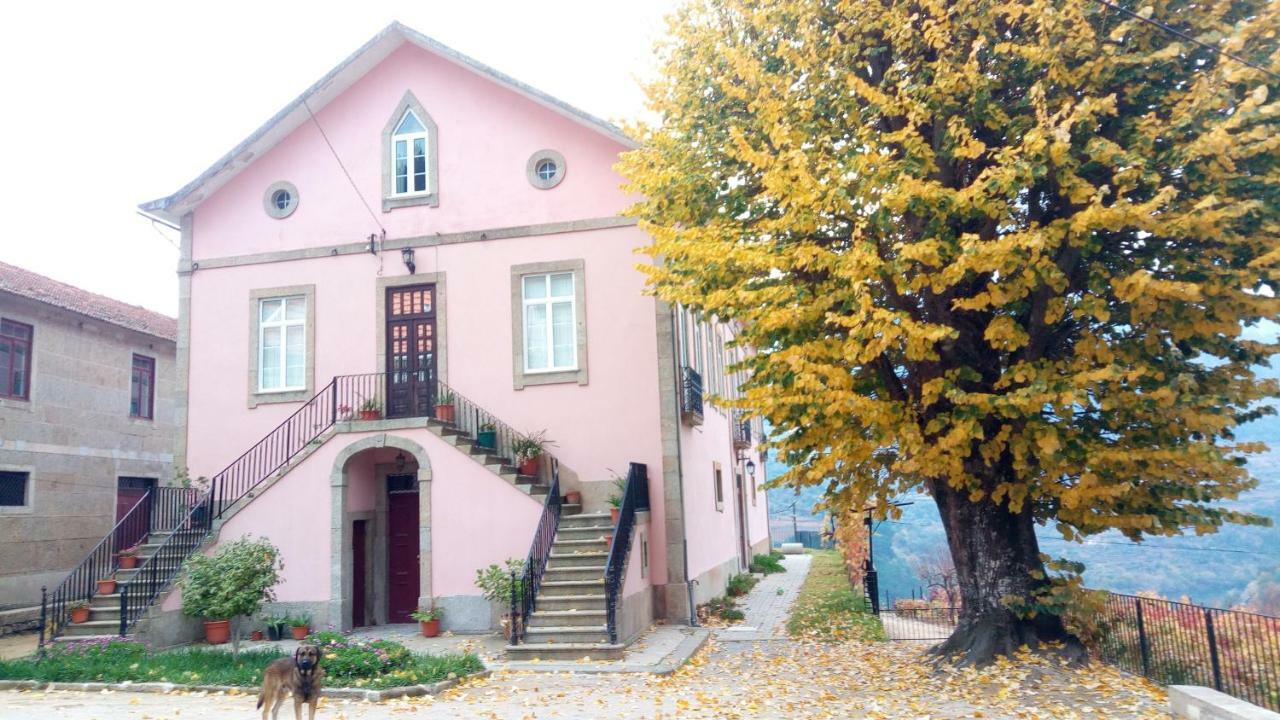 Quinta Barqueiros D'Ouro - Casa Da Musica Villa Mesão Frio Dış mekan fotoğraf
