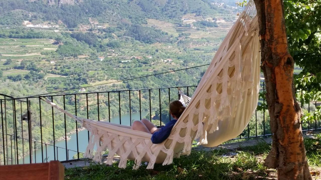 Quinta Barqueiros D'Ouro - Casa Da Musica Villa Mesão Frio Dış mekan fotoğraf